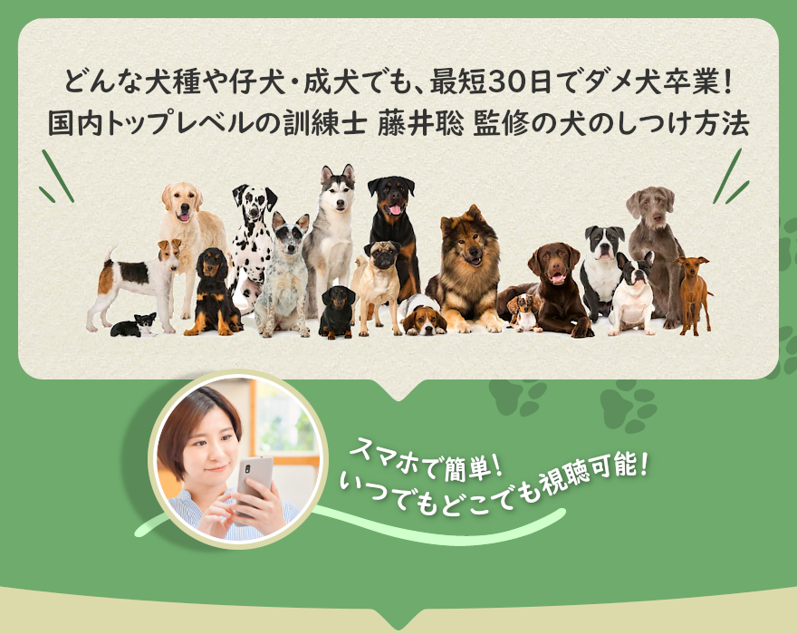 どんな犬種や仔犬・成犬でも、最短30日でダメ犬卒業！日本一の訓練士、藤井聡による犬のしつけ方法！